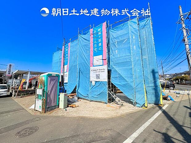 【現地写真 (3月1日撮影)】