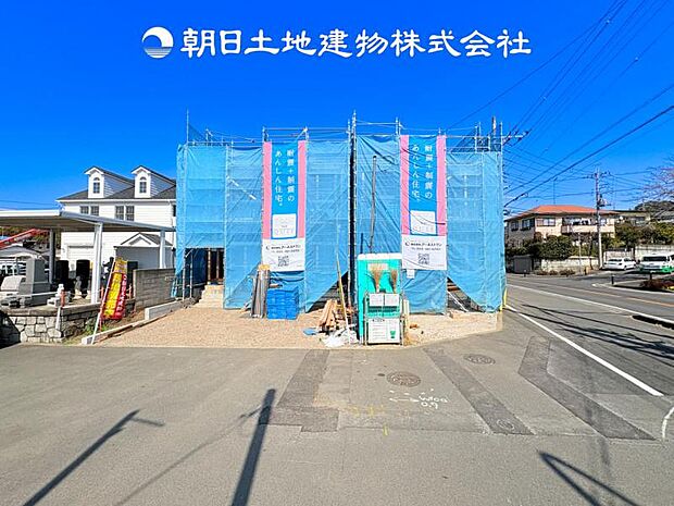 【現地写真 (3月1日撮影)】