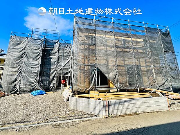 【現地写真 (3月15日撮影)】