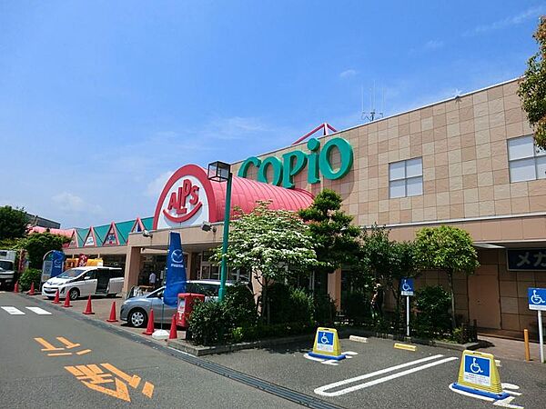 【コピオ　愛川】9400ｍ　駐車場がとても広くて、300台ぐらいは優に停められます。カー用品店や書店などがあり、一度に色んな買い物が出来ます。