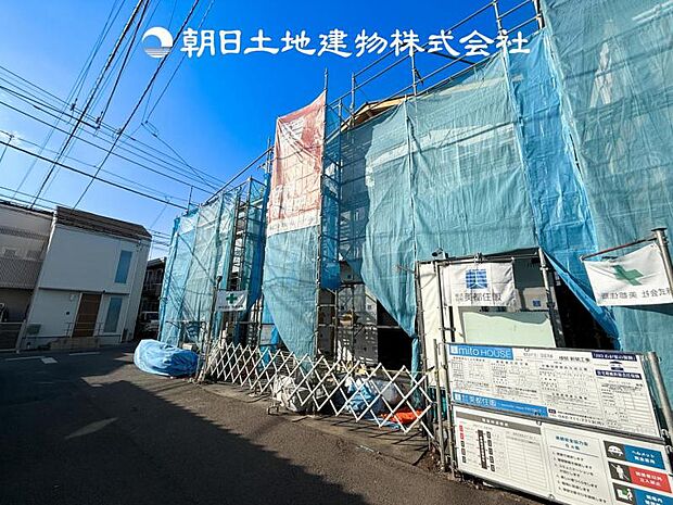 【現地写真 (2月22日撮影)】