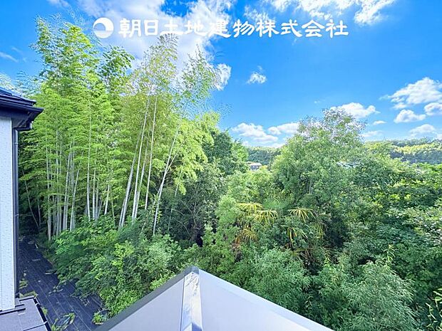 【現地眺望写真】