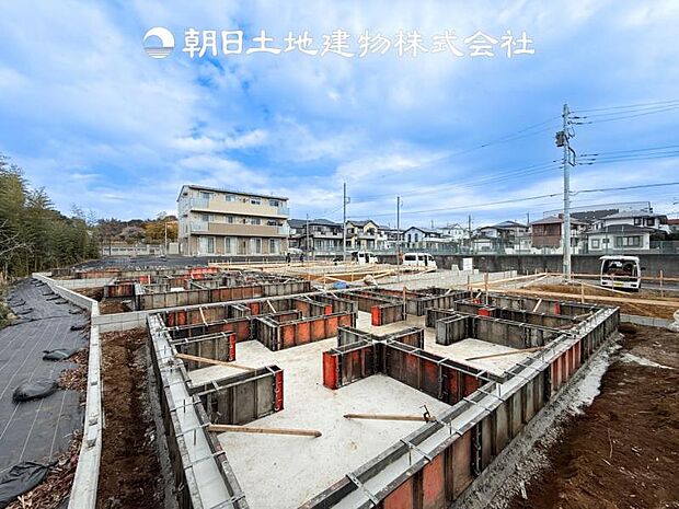 【現地写真 (2月13日撮影)】