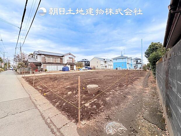 【現地写真 (2月12日撮影)】