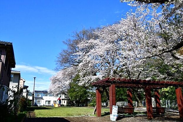 【鶴島公園】 住宅街の十分な広さの公園です。遊び場にはスプリング遊具・スイング遊具、砂場、すべり台があります。
