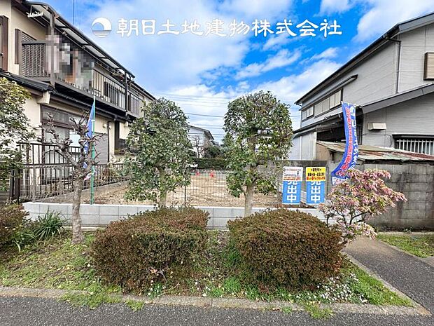 【現地写真 (3月6日撮影)】