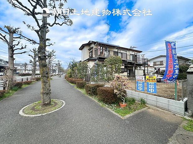 【現地写真 (3月6日撮影)】