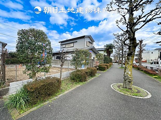 【現地写真 (3月6日撮影)】