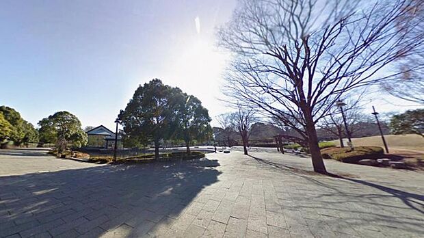 【平塚市総合公園】 水遊びスペース、草の広場、遊具など広い公園です。ょっとした動物園があります。子どもや家族全員で丸1日楽しめます。