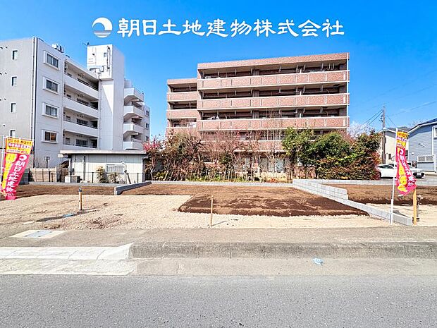 【現地写真 (3月29日撮影)】