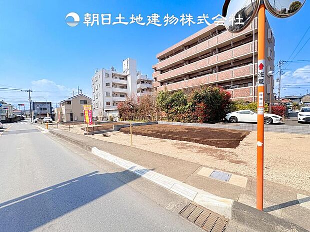 【現地写真 (3月29日撮影)】