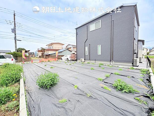 【現地写真 (4月6日撮影)】