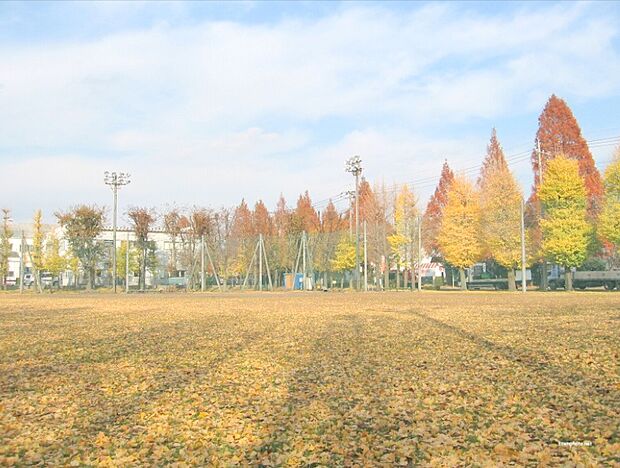 【中津工業団地第2号公園】　公共施設に併設の広い公園です。大きな遊具が3基、滑り台が3本もあり、子供がはしゃぎ回って遊びました。