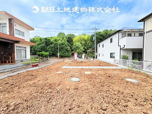 【現地写真 (6月11日撮影)】