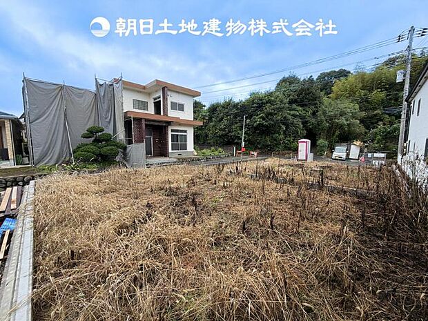 【現地写真 (9月11日撮影)】