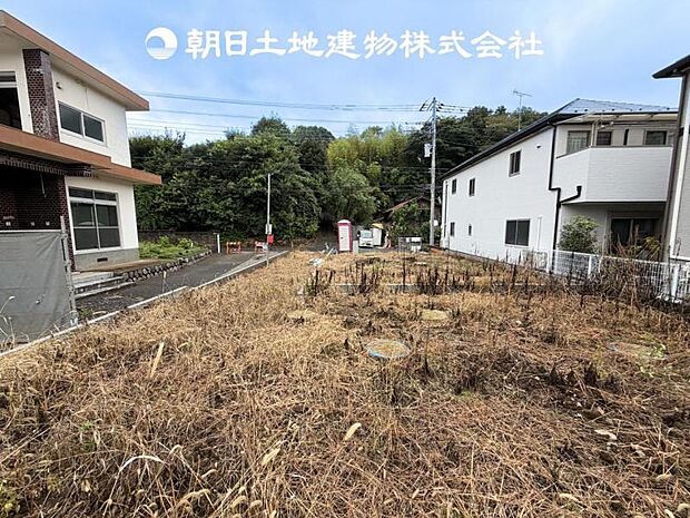 【現地写真 (9月11日撮影)】