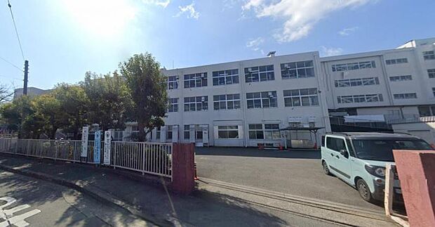 【秦野市立南小学校】 校庭の真ん中にある大きな桜の木は春になるととても立派で綺麗な桜が咲きます。市内でも大きい小学校です。
