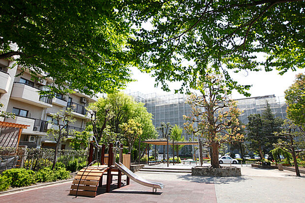 【相模が丘どんぐり公園】 マンションが立ち並ぶ地域の公園です。緑が減ってきている周辺環境の中で貴重なオアシスです。