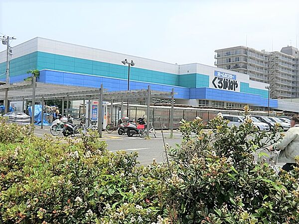 【DCM　海老名下今泉店】　物内はとても広く、豊富な品揃えが魅力的です。駐車場も広くお店の近くに停めることもできます。