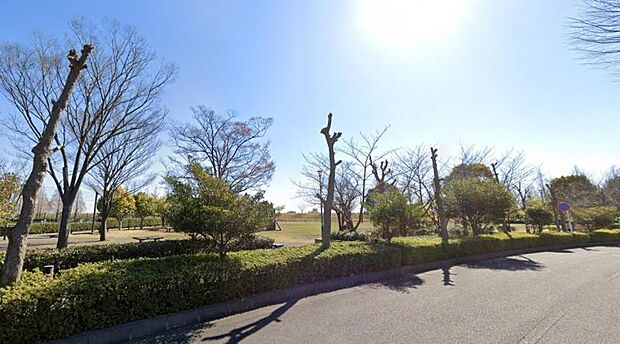 【馬入ふれあい公園 はらっぱ】