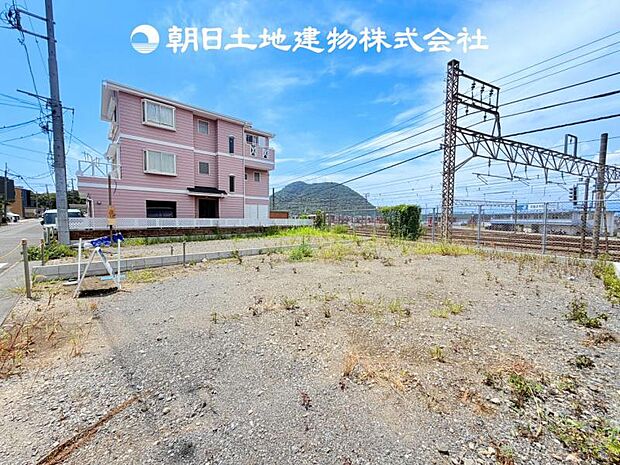 【現地写真 (7月26日撮影)】