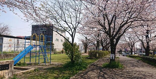 【さくらどて公園】