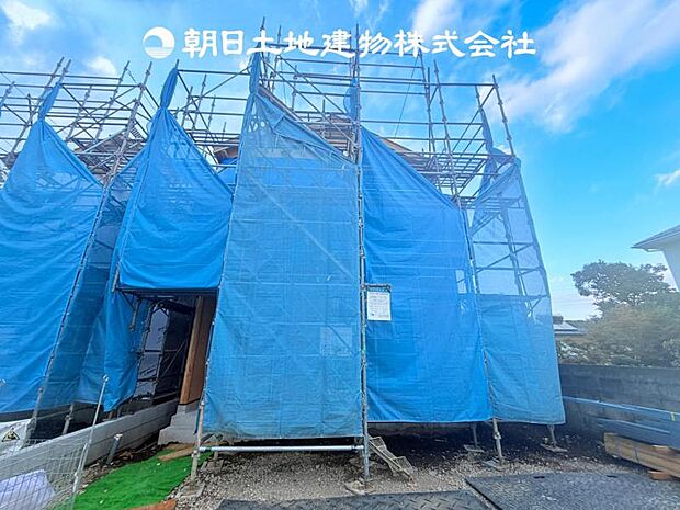 【現地写真 (8月10日撮影)】