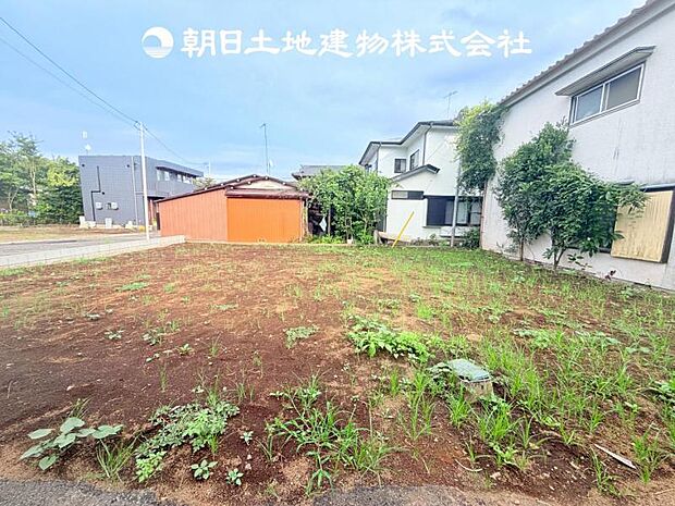 【現地写真 (8月17日撮影)】