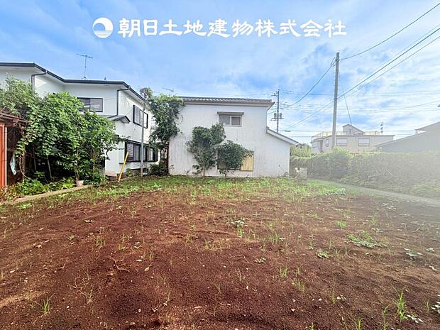 【現地写真 (8月17日撮影)】