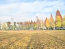 周辺：【中津工業団地第2号公園】　公共施設に併設の広い公園です。大きな遊具が3基、滑り台が3本もあり、子供がはしゃぎ回って遊びました。