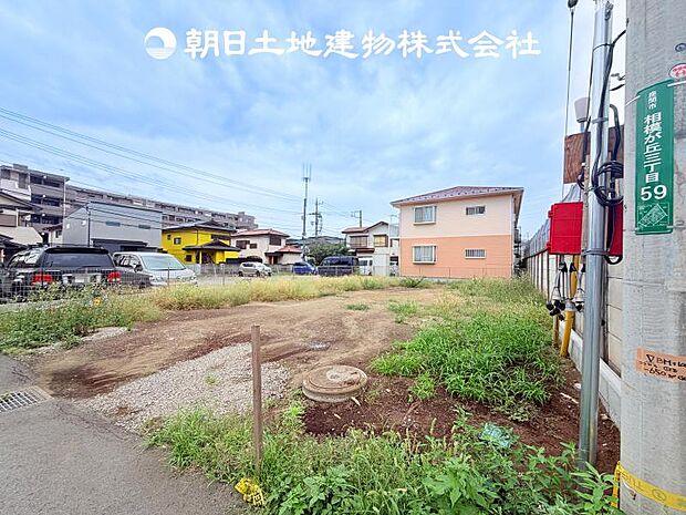 【現地写真 (9月4日撮影)】