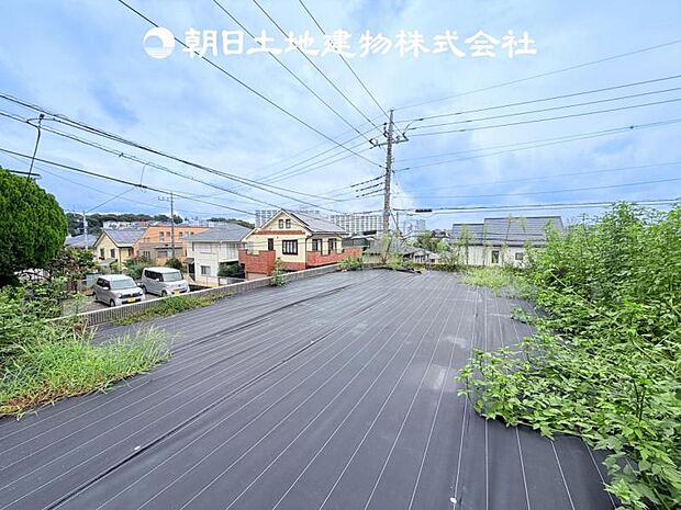 【現地写真 (9月12日撮影)】