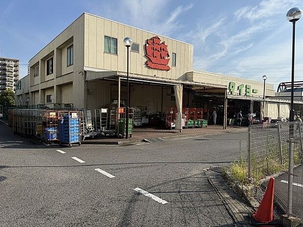 タイヨー 千葉店 徒歩9分。WEBチラシを確認できます。 720m