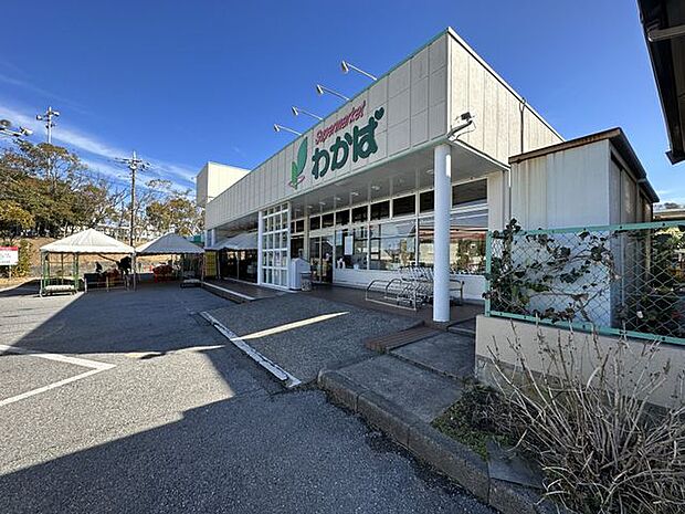 スーパーわかば 徒歩12分。開店時間/9:30〜20:00。駐車場有。チラシが公開されていますので、お買い物前に、お買い得商品などを事前チェックできます。 950m