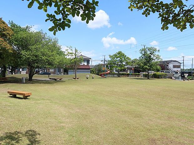 いずみ公園 徒歩8分。ブランコ、すべり台、砂場、スプリング遊具などがあります。近くには、飲食店や郵便局、ドッグサロンなどがあり、お出かけついでにお子様と一緒に遊べる公園です。 570m