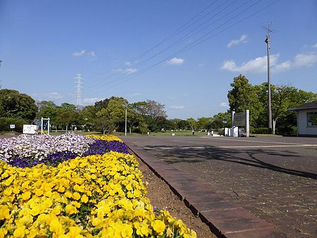 小櫃堰公園 徒歩26分。水上公園とも呼ばれている公園です。春には川沿いの桜が満開に咲き誇り、お花見やピクニックもお楽しみいただけます。 2010m