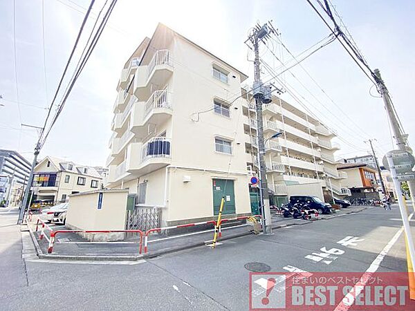 外観：313004666654