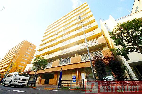 外観：313004679538