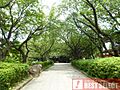 飛鳥山公園　徒...