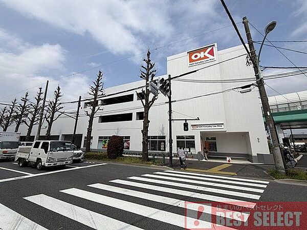 オーケー大泉インター店　徒歩13分 1040m