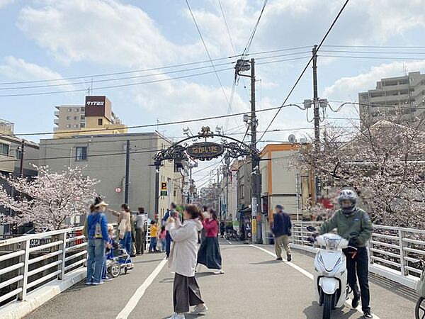中板橋商店街　徒歩12分 910m