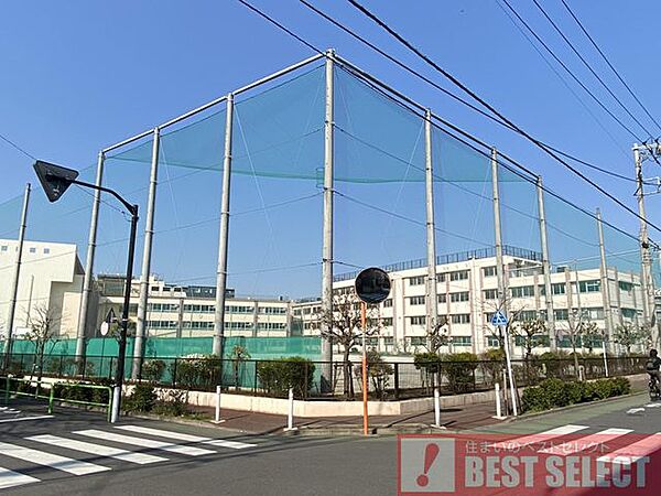 板橋区立志村第三中学校まで徒歩3分 240m