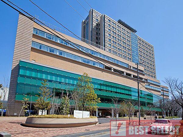 帝京大学医学部附属病院　徒歩13分 990m