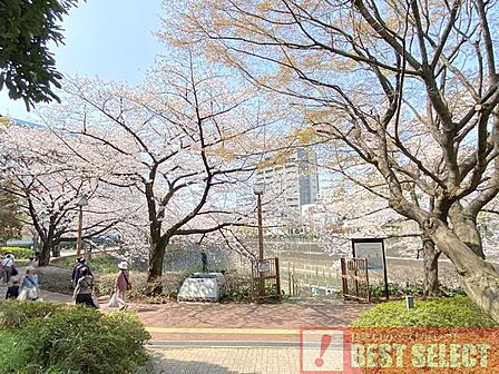 北区立音無もみじ緑地 徒歩12分 960m