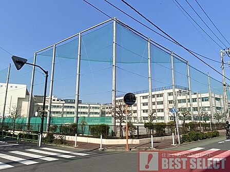 板橋区立志村第三中学校まで徒歩11分 870m