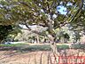 周辺：区立中央公園 北区中央公園　徒歩14分 1120m