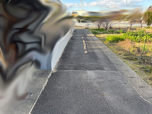 現地写真2024.3撮影