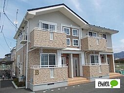 サンフラワー　Ｂ