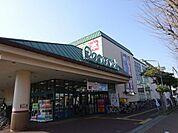 株式会社大丸ピーコック東小金井店（526m）