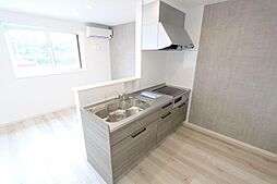 パークサイドTORTOISE 203